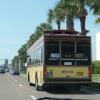 This is the mode of transportaion in Florida. 
The trolley. 
