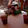 A couple of Bloody Mary's
while we were looking over the menu. 
Grouper sandwiches and 
baskets were the popular
choice.