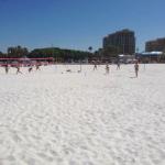 Clearwater Beaches are rated the best in this area. 