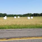 Our good friend KRISKO was on her way to New York to meet with family for the Fourth of July Holiday.
On her way she said she saw a Marshmallow Field. Something like the Beatles Strawberry Field?